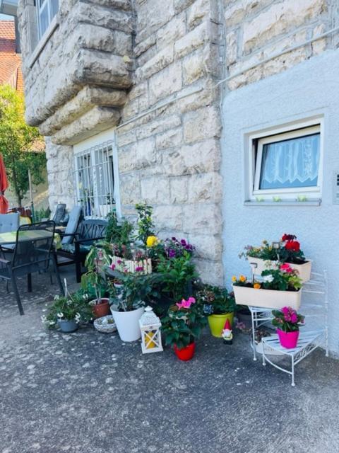 Tolle Wohnung In Bester Lage Von Heidenheim Heidenheim an der Brenz Exterior foto